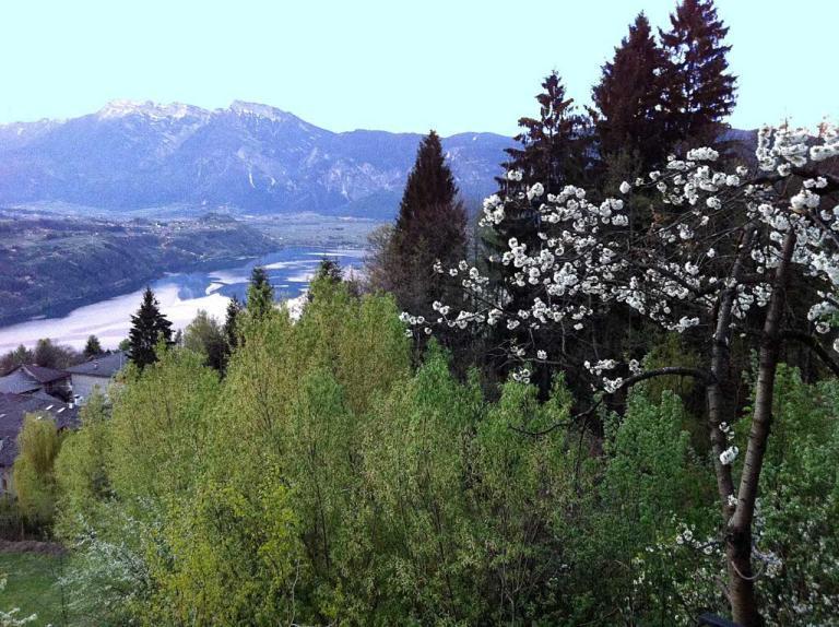B&B Alba Sul Lago Pergine Valsugana Eksteriør billede